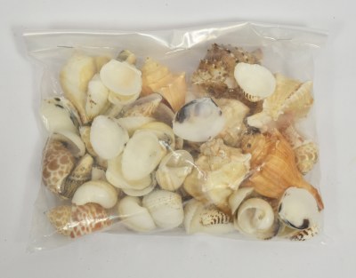 1 Kilogram Bag of Large Mixed Shells