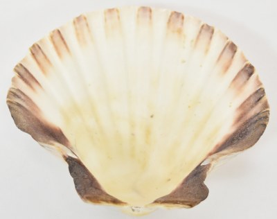 5" Irish Deep Shell