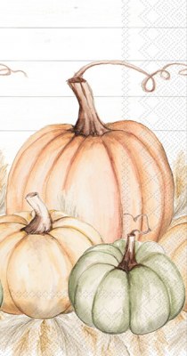 9" x 5" Multipastel Pumpkin Trio Guest Towels