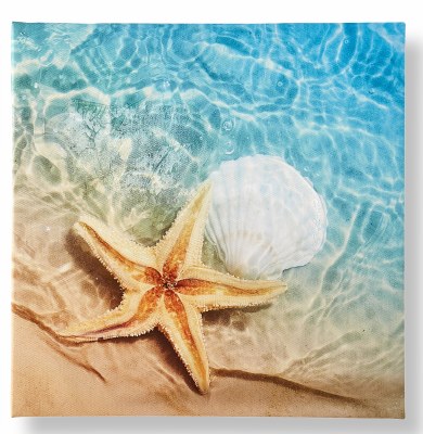 12" Sq One Starfish Canvas