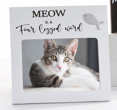 4" x 6" White "Meow is a Four Legged Word" Cat Picture Frame