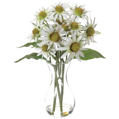 14" White Rudbeckia in a Clear Glass Vase
