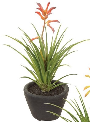 9" Faux Orange Kangaroo Plant in a Black Pot