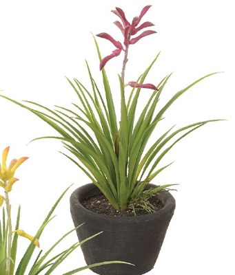 9" Faux Red Kangaroo Plant in a Black Pot