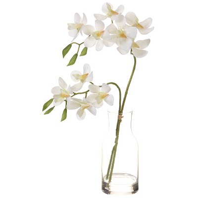 17" Faux White Orchid in a Clear Glass Vase