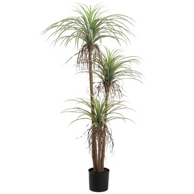 72" Faux Green Agave Tree in a Black Pot