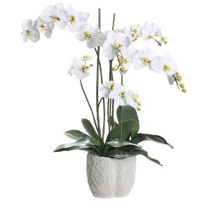 32" Faux White Orchids in a Faux White Coral Pot