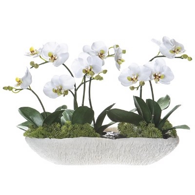 23" Faux White Orchids in a Long Faux White Coral Bowl