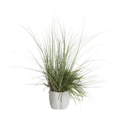 37" Faux Green Grasses Mixed with Driftwood in a Faux White Coral Pot