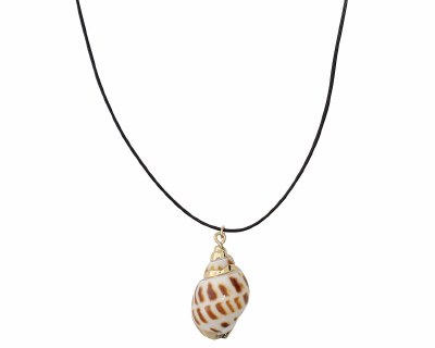 Natural Shell on a Cord Necklace