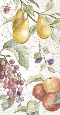 8" x 5" Country Fruits Guest Towels
