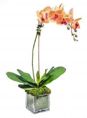 28" Faux Sunset Orchid in a Square Glass Vase