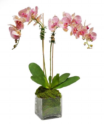 28" Faux Pink Stripe Double Orchids in a Square Glass Vase