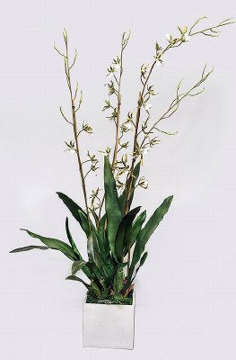 52" Faux Brassia Orchid in a Square Pot