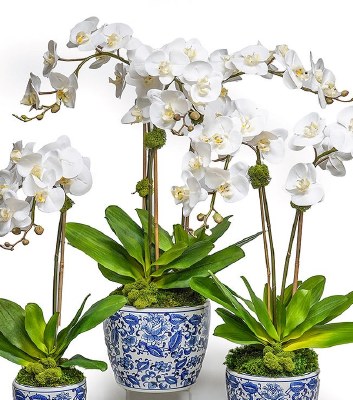 33" Faux Triple White Orchids in a Blue and White Pot