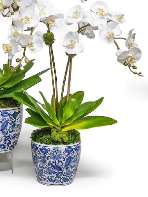 30" Faux Double White Orchids in a Blue and White Pot