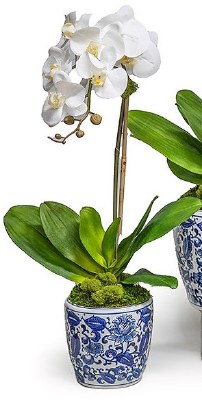 29" Faux Single White Orchid in a Blue and White Pot