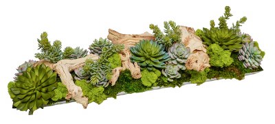 34" Faux Succulents and Driftwood on a Narrow Silver Tray