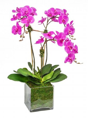 31" Faux Pink Triple Orchids in a Square Glass Vase