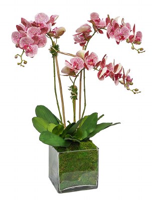 31" Faux Pink Spotted Triple Orchids in a Square Glass Vase