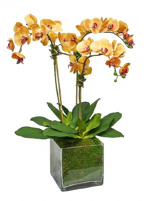 31" Faux Sunset Triple Orchids in a Square Glass Vase