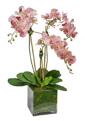 31" Faux Pink Striped Triple Orchids in a Square Glass Vase