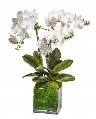 31" Faux White Triple Orchids in a Square Glass Vase