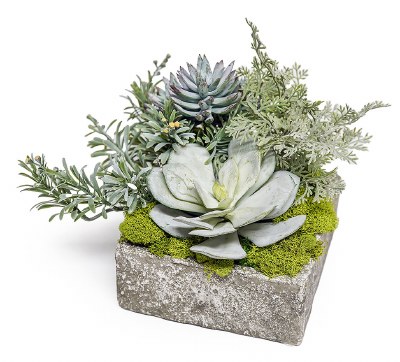 8' Faux Succulents in a Gray Square Pot