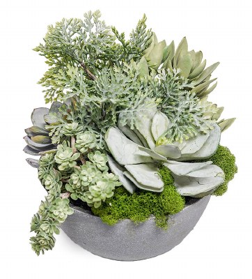 9" Faux Succulents in a Gray Round Pot