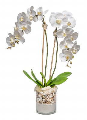 29" Faux White Double Orchids With Shells in a Glass Vase