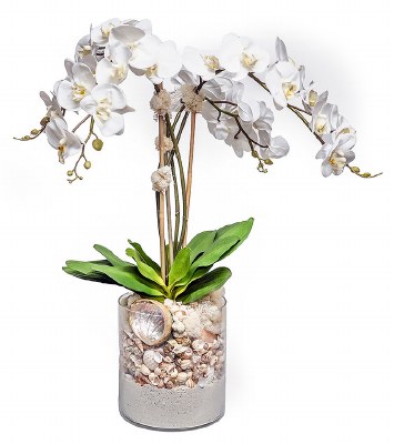 32" Faux Four White Orchids With Shells in a Glass Vase