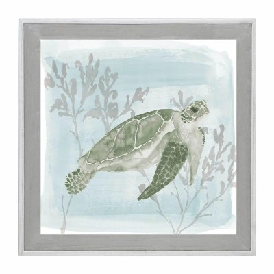 31" Sq Green Sea Turtle 1 Coastal Gel Print in a Gray Wash Frame