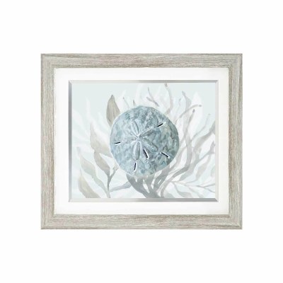 23" x 29" Blue and Gray Sand Dollar Coastal Gel Textured Print in a Graywash Frame