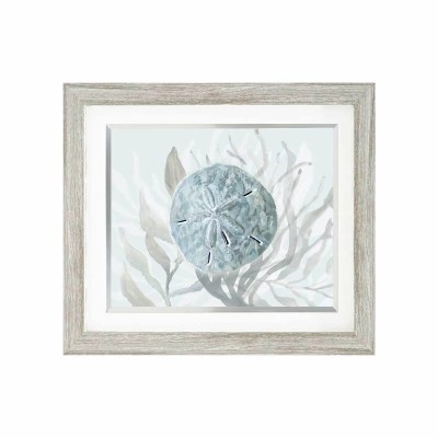 23" x 29" Blue and Gray Sand Dollar Coastal Gel Framed Print