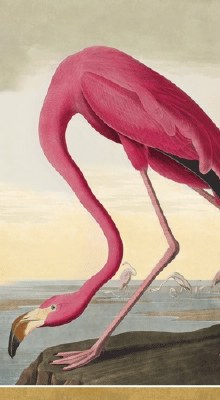 Audobon Flamingo Guest Towels