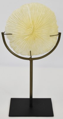12" Ivory Faux Mushroom Coral on a Stand