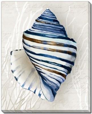 20" x 16" Blue Shell 3 Coastal Canvas