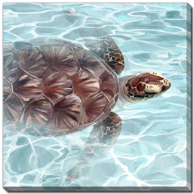 32" Sq Sea Turtle in Crystal Clear Water Coastal Canvas