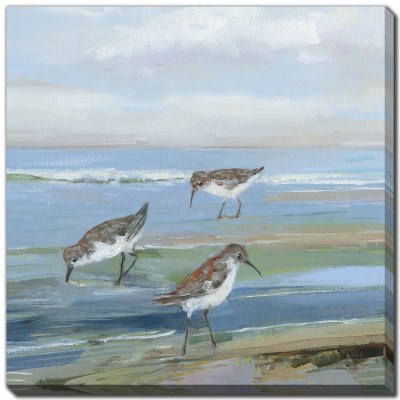 24" Sq Sea Birds on the Beach 1 Coastal Canvas