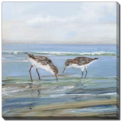 24" Sq Sea Birds on the Beach 2 Coastal Canvas