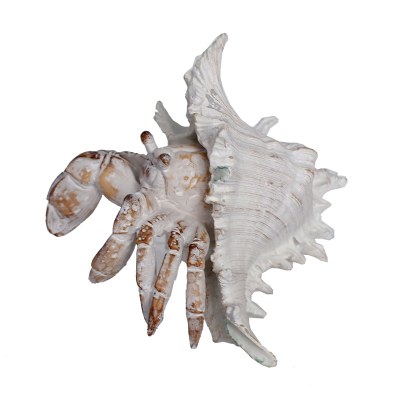 7" Distressed White Polyresin Hermit Crab