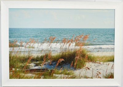 38" x 54" Sea Oats Coastal Indoor/Outdoor Gel Textured Coastal Print in a White Frame