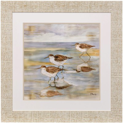 32" Sq Golden Sandpipers 2 Framed Print Under Glass