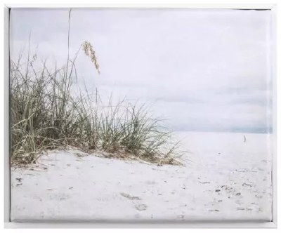 8" x 10" Seagrass on the Beach Coastal Framed Canvas