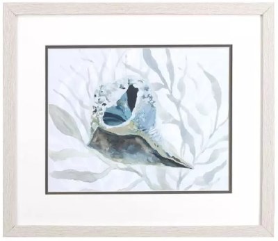 17" x  20" Blue and Gray Broken Whelk Shell Coastal Framed Print Under Glass