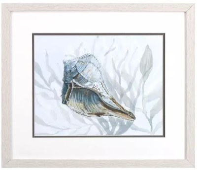 17" x 20" Blue and Gray Whole Whelk Shell Coastal Framed Print Under Glass