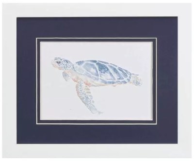 9" x 11" Sea Turtle With a Blue Back Coastal Framed Print Under Glass