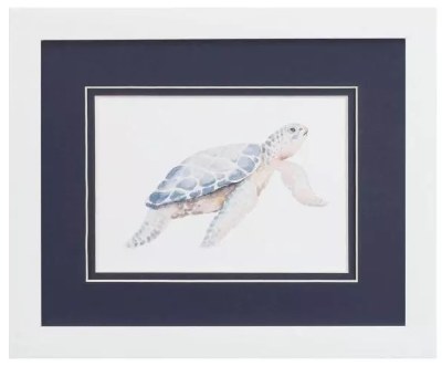 9" x 11" Sea Turtle With a White Back Coastal Framed Print Under Glass
