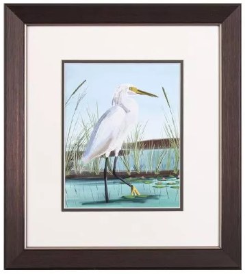 18" x 16" White Egret With Head Up Coastal Framed Print Under Glass