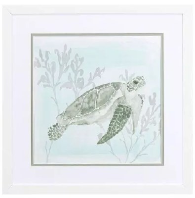 17" Sq Green Small Fin Sea Turtle Coastal Framed Print Under Glass